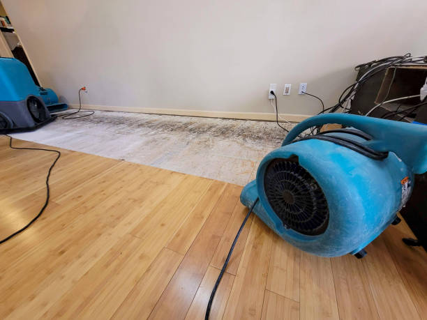 Professional Water Removal technician working in Reedsville, WV